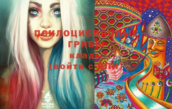 крисы Каменск-Шахтинский